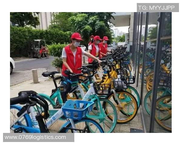 武汉篮球队的崛起与发展探秘展现城市力量与激情的精彩旅程