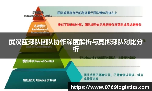 武汉篮球队团队协作深度解析与其他球队对比分析
