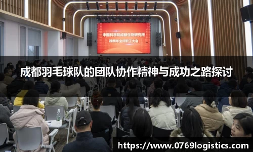 成都羽毛球队的团队协作精神与成功之路探讨